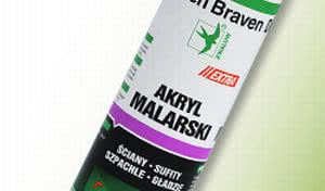 Poddasze bez skazy, czyli jak poprawnie wykonać zabudowę z płyt g-k